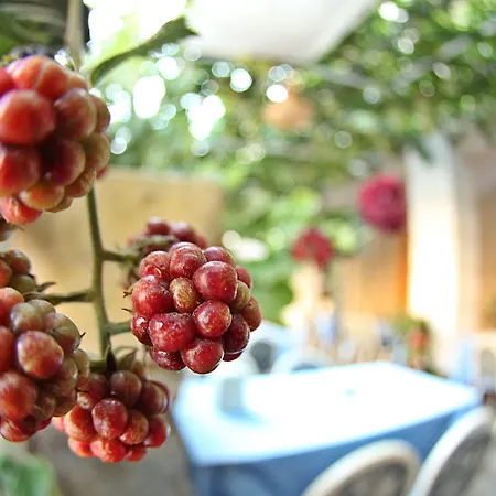 多斯特酒店 酒店 2*