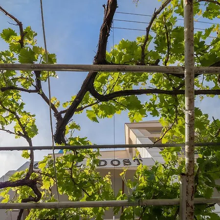 酒店 多斯特酒店