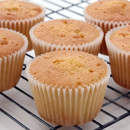 多斯特酒店 酒店 2*