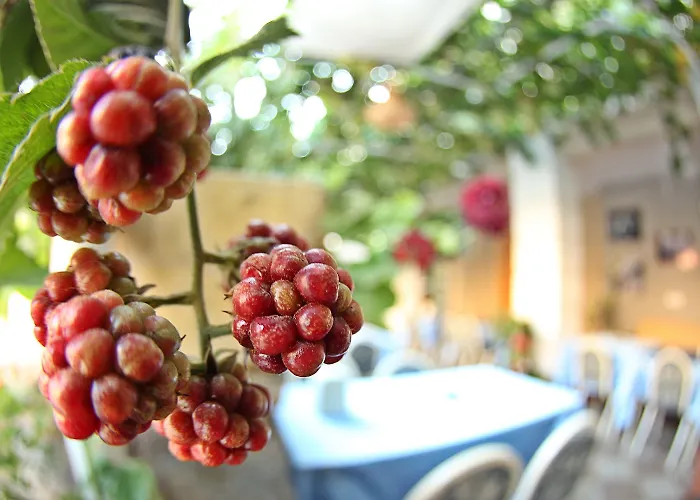 دوست فندق 2*