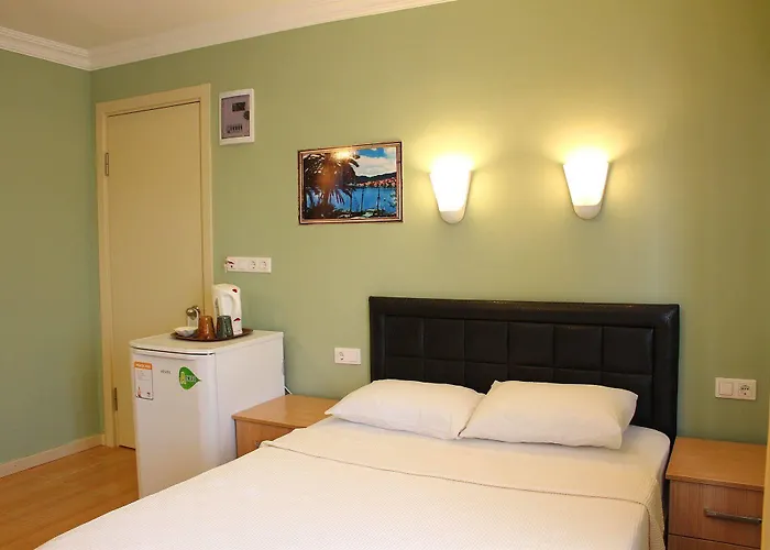 دوست 2* مرمريس