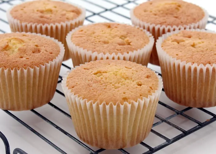 ドスト ホテル 2*